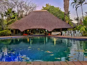Sefapane Lodge & Safaris