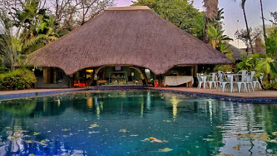 Sefapane Lodge & Safaris