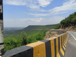 Hill view Point Dramandganj
