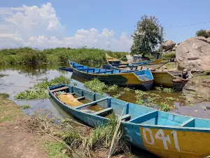 Iyingo landing site