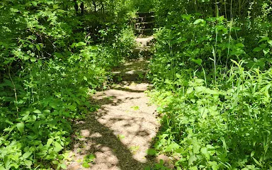 Bull's Run Nature Sanctuary And Arboretum