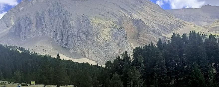 Saravillo