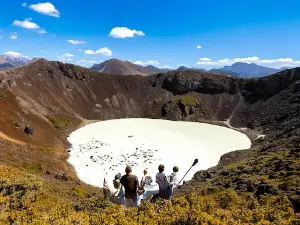 The Big Bowl