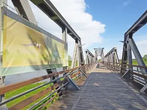 Żelazny most kolejowy w Stanach