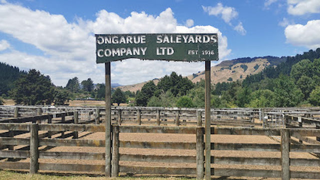 Don Middleton Memorial Park