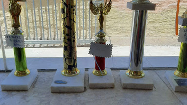 Portezuelo de Bermúdez Romina