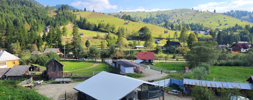Tiroliana Moldovița