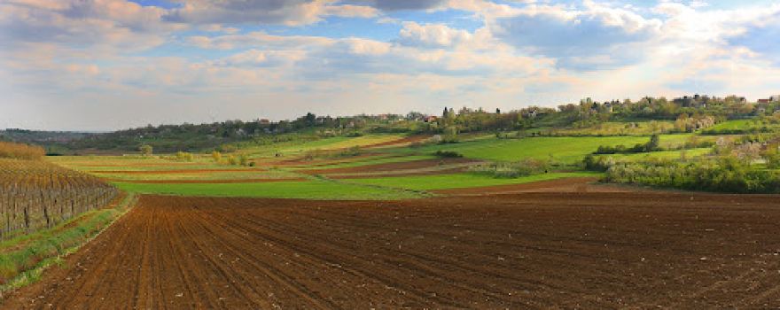 Fruška Gora, scenic spot