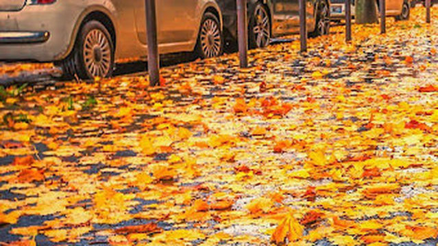 Central Bowling Lanes