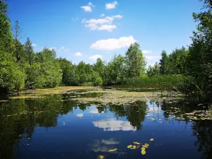 Jata Nature Reserve