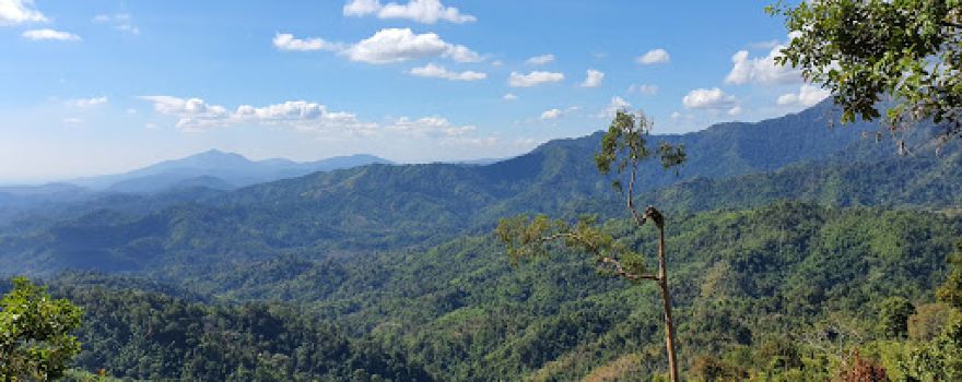 Phu Phaya Pho Shrine