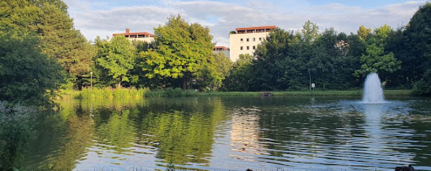 Vöcklabruck Park