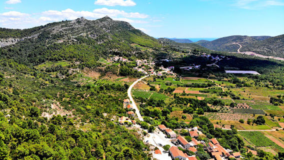 Winery / Winery Milos