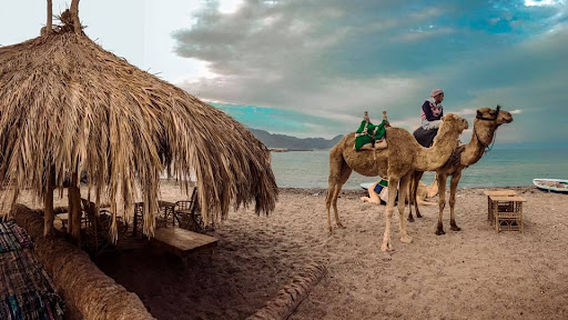 Ras Sinai Ayash Camp