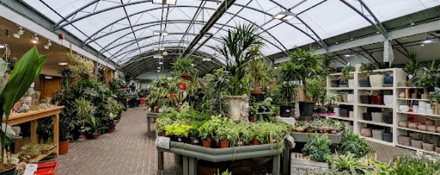 Knights Garden Centre - Betchworth Plant Centre