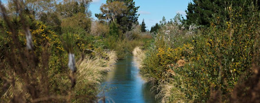 Rakaia river