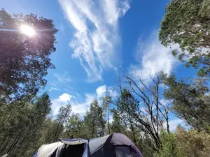 Warrabah campground and picnic area