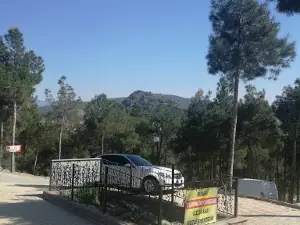 Osmancık Kent Ormanı