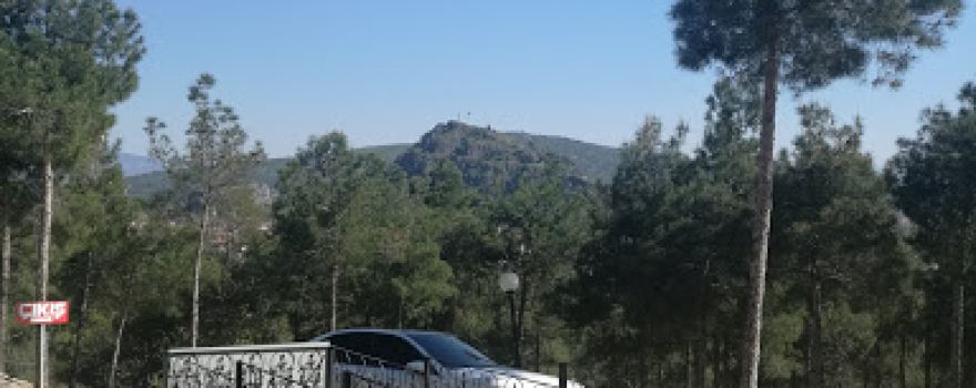 Osmancık Kent Ormanı