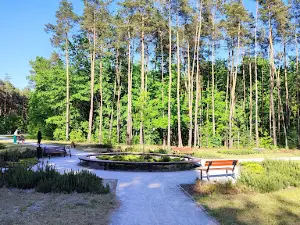Glinianki