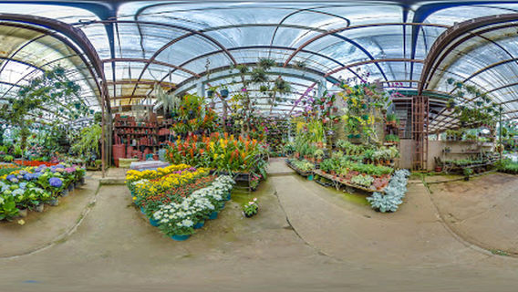 Baguio Orchidarium