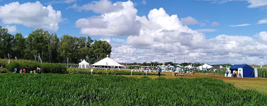 Agritech Expo Zambia (18-20 April 2024)