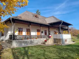 Alexandru Donici Estate