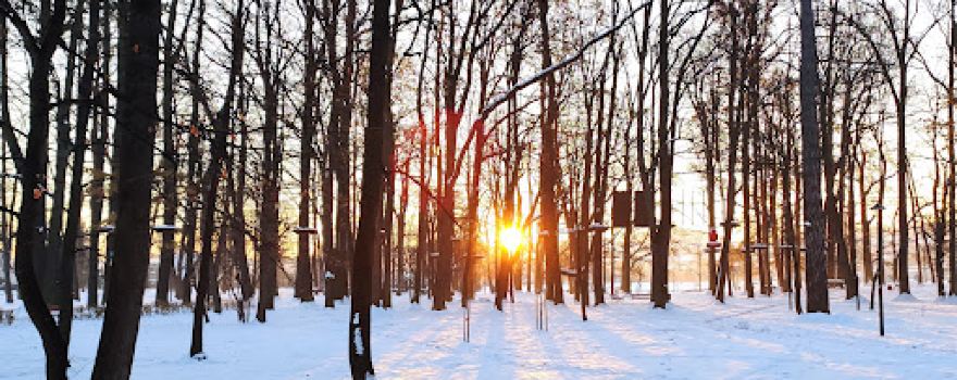 Park Miejski