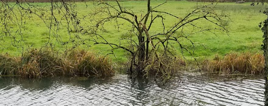 Aire De Jeux /Parcours Sante