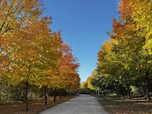 맨도타 레이크 공원