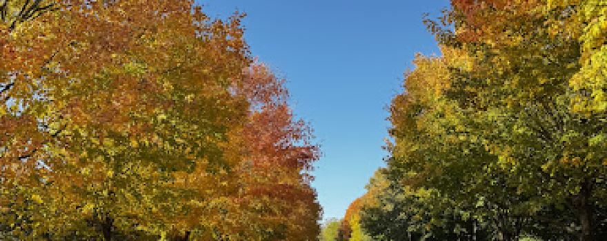 Mendota Lake Park