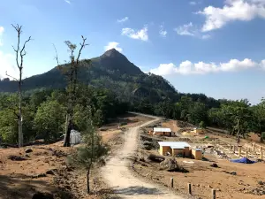 Nuaf Timau