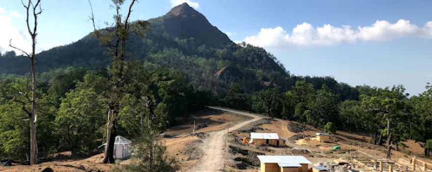 Nuaf Timau