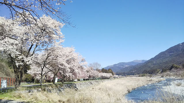 Tsukechichuo Kasen Park Field