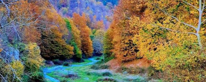 Valea Sighiştelului