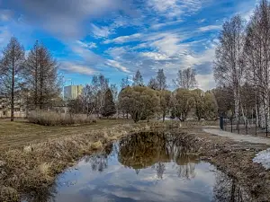 Kemi Dog Park