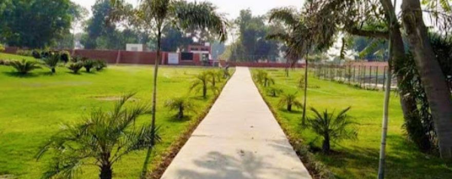 The Central Park, Mansa