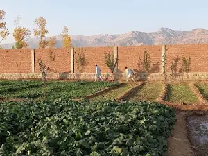 Sarokhel Cricket Ground