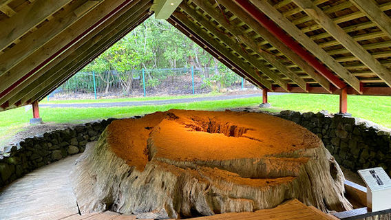 Maori War Canoe