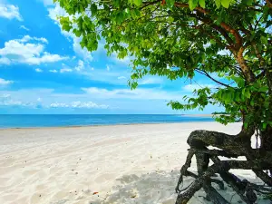Praia de Cajutuba