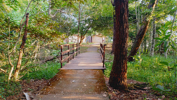 Parque Ecológico Saburo Onoyama