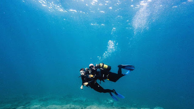 Tenerife Whale Watching | Atlantic Eco Experience