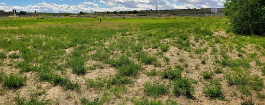 Soap Lake Dog Park