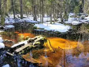 Uhrilähde Spring
