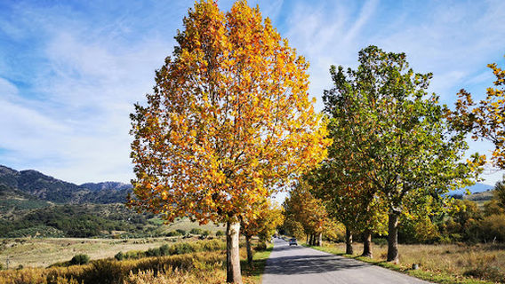 Castiglione di Sicilia