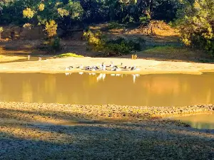 Cooper's Creek Bridge