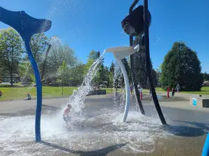 Willow Point Park