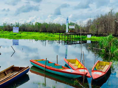 Konservasi Biodiversity Sungai Upang