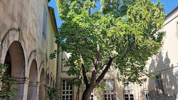 Musée des Beaux-Arts de Carcassonne