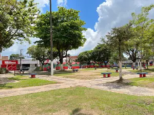 Square matrix Marituba